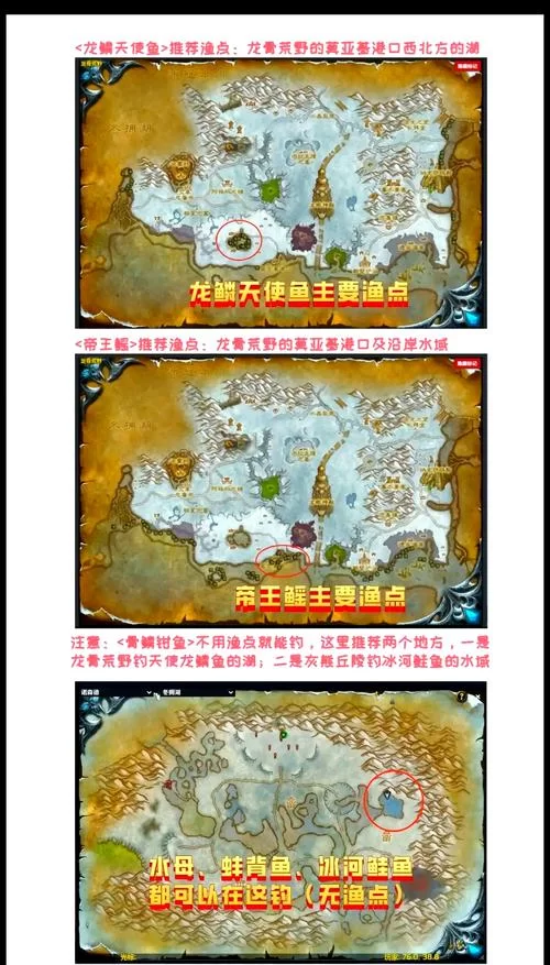 蚌背鱼群分布地图：北风苔原高效钓鱼路线