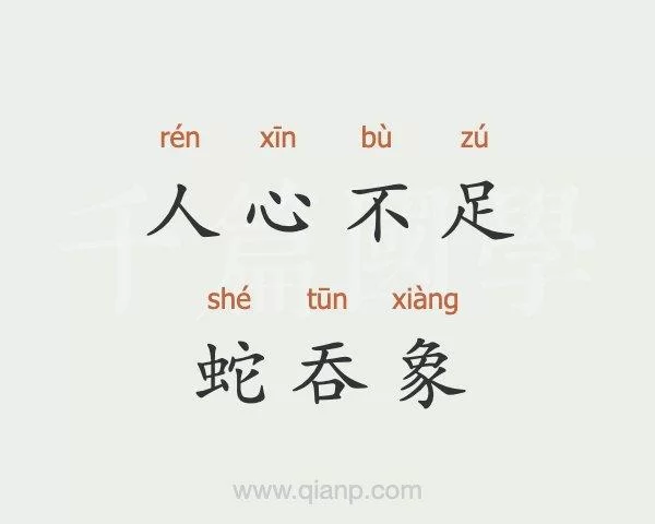 蛇什么吞象？揭秘这个成语的真实含义