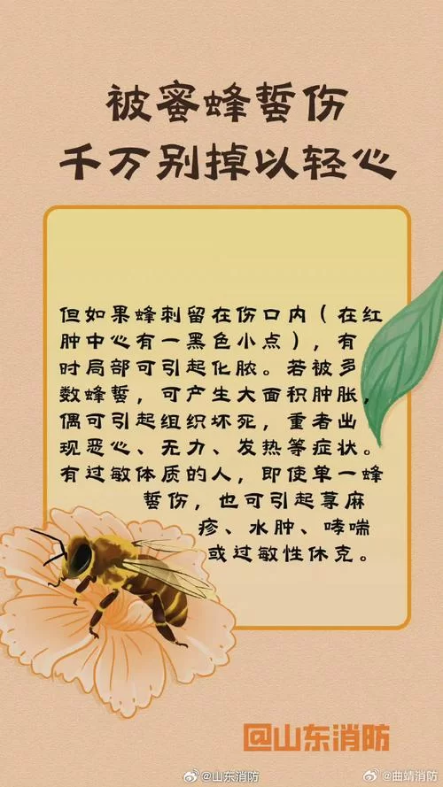蛰蜂之死：农村地区蜂蛰伤亡事件调查及防治