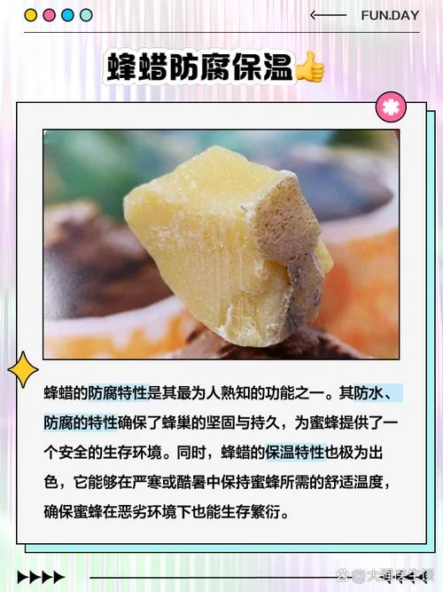 蜂蜡是哪种蜂制造的？答案让你意想不到！