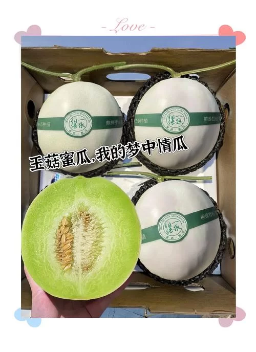 蜜瓜app好用吗？下载蜜瓜app体验丰富资源