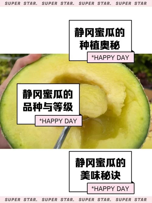 蜜瓜app好用吗？下载蜜瓜app体验丰富资源