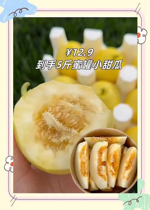 蜜瓜app好用吗？下载蜜瓜app体验丰富资源
