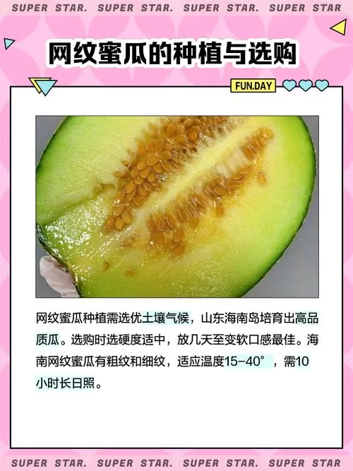 蜜瓜app好用吗？下载蜜瓜app体验丰富资源