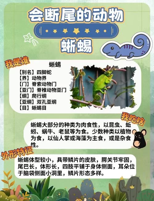 蜥蜴的尾巴有什么作用？生存技能全揭秘！