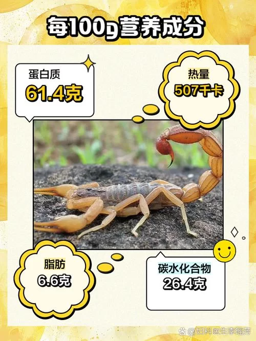 蝎子的尾巴有什么作用？带你了解蝎子尾巴的秘密！