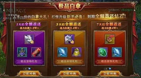 血盟荣耀强化技巧：装备提升与战力飙升秘诀
