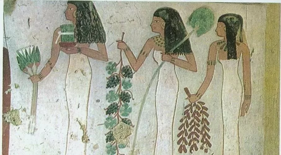 西方魔幻七大种族图鉴：带你了解他们的起源