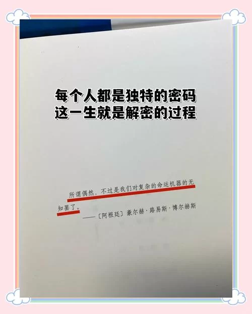 解密t35cc正版资料，揭秘其背后的精彩故事