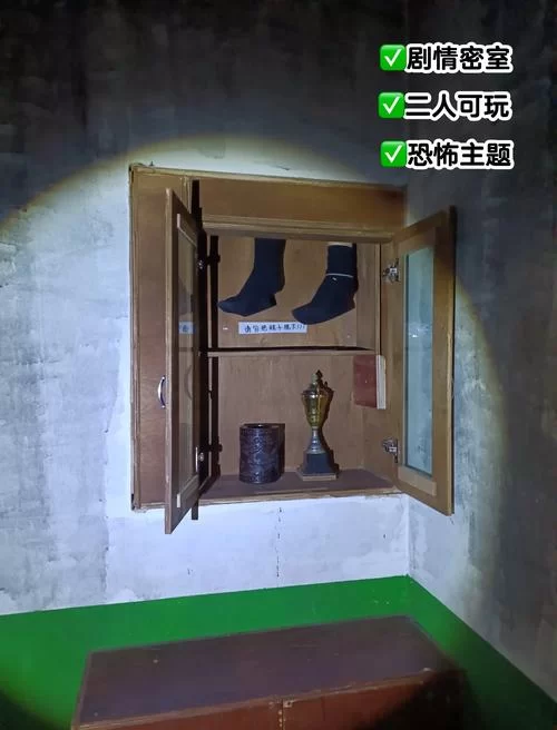 解密勇敢人的游戏：隐藏的秘密与挑战