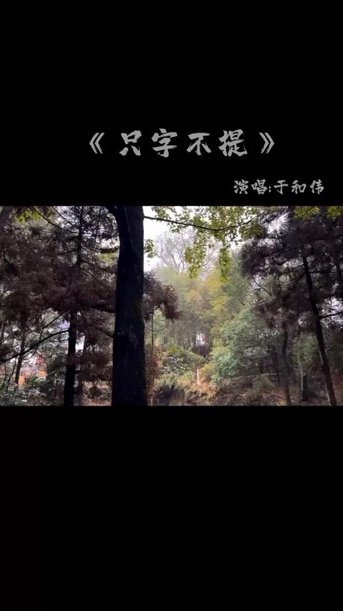解读歌曲山外还有比山高半山腰:歌词表达的深刻情感 解读歌曲山外还有比山高半山腰:歌词表达的深刻情感