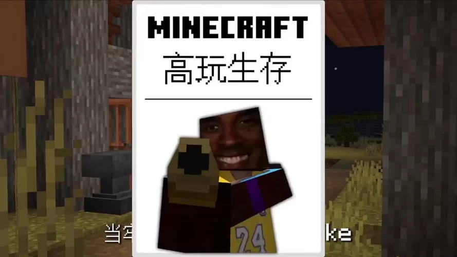 解锁我的世界秘密：成为真正的高玩高手