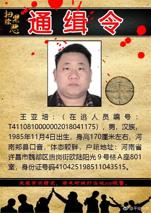 警惕！通缉令七个等级，你了解多少？