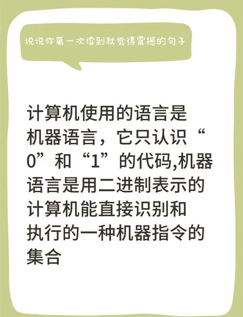 计算机可以直接执行的程序是什么语言写的？了解机器语言