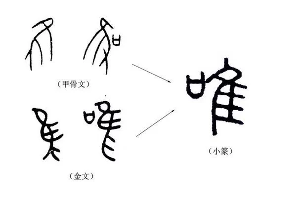 讨伐的意思是什么？带你了解其含义和用法