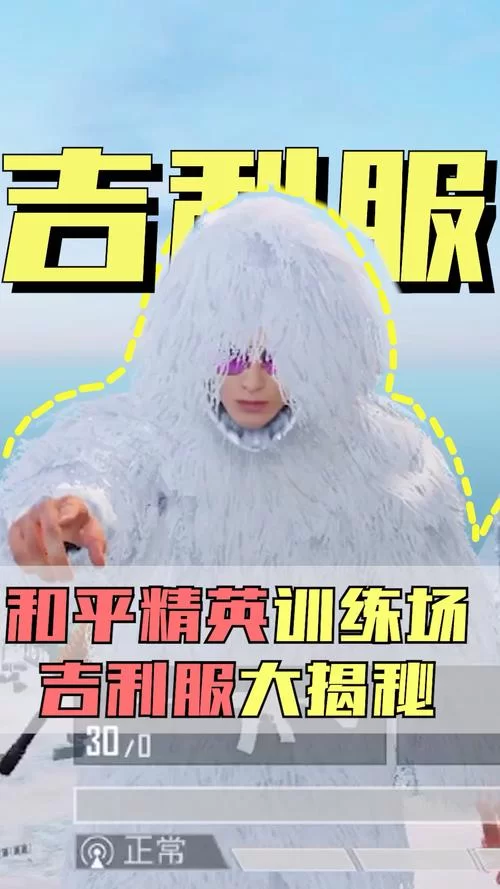 训练场雪地吉利服在哪？地图位置及刷新点详解