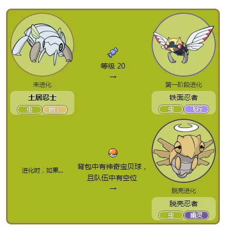 详解土居忍士进化图：双重进化形态深度解析