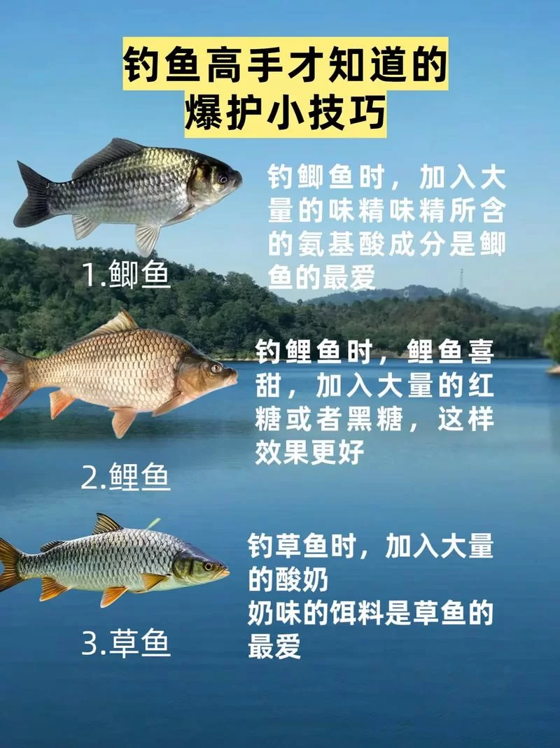 详解钓鱼术语“爆护”：多少条鱼才算爆护？