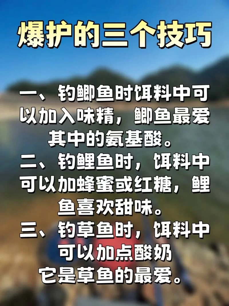 详解钓鱼术语“爆护”：多少条鱼才算爆护？