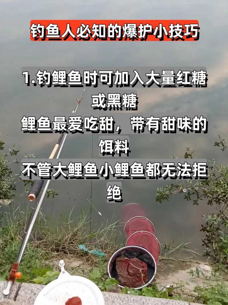 详解钓鱼术语“爆护”：多少条鱼才算爆护？
