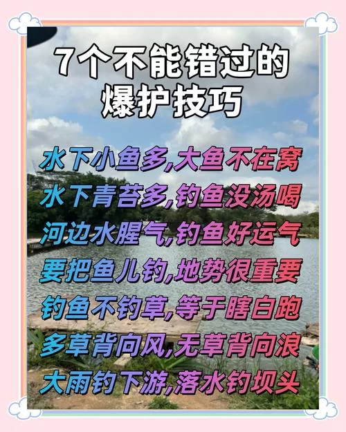 详解钓鱼术语“爆护”：多少条鱼才算爆护？