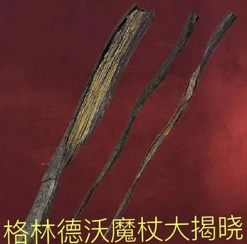 谁拥有过老魔杖？深度解析其主人变更顺序