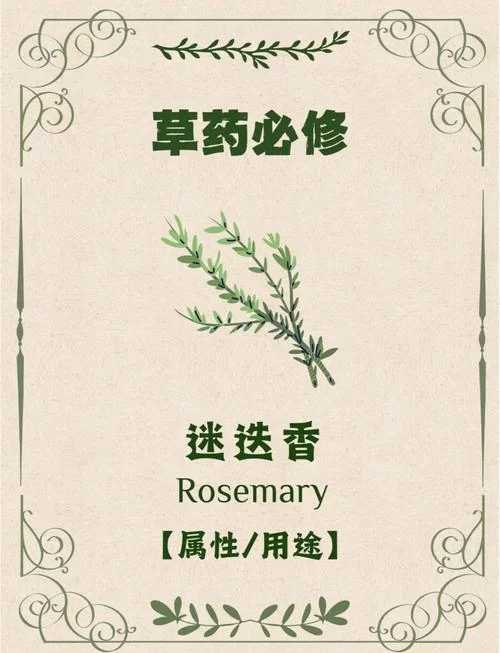 谜药的制作配方：曼陀罗花等成分的应用