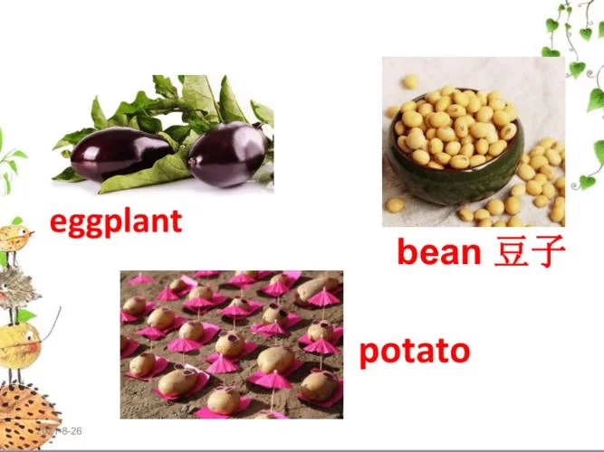 豆子英文怎么说？几种豆子的英文表达