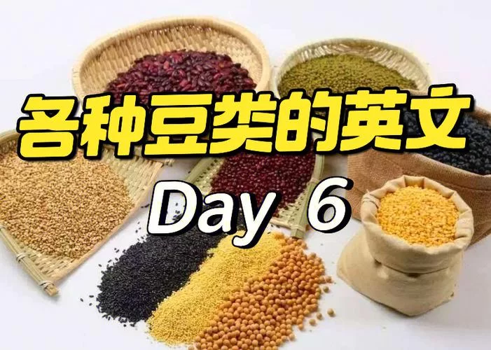 豆子英文怎么说？几种豆子的英文表达