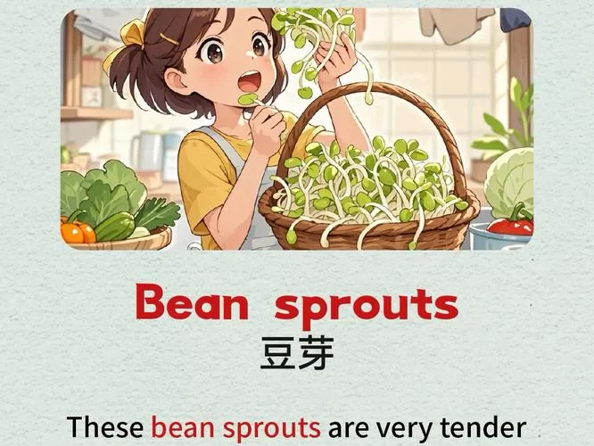 豆子英文怎么说？几种豆子的英文表达