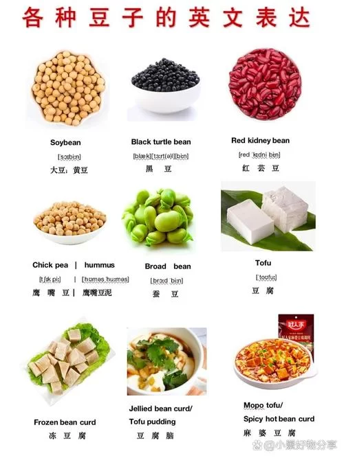 豆子英文怎么说？几种豆子的英文表达