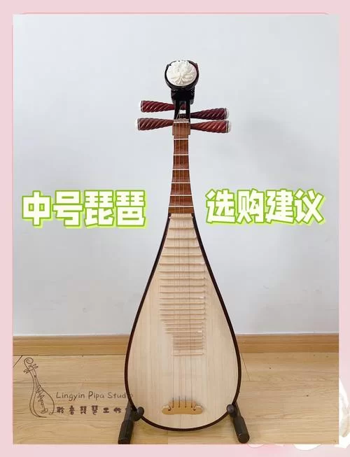 购买琵琶介绍：选购技巧及价格参考，新手必看！