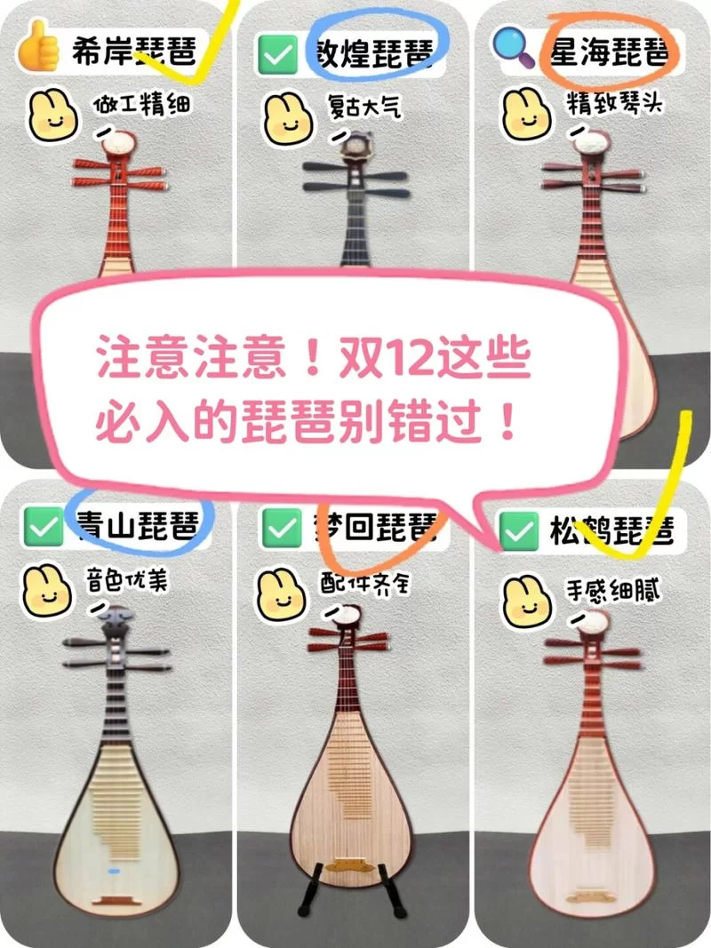 购买琵琶介绍：选购技巧及价格参考，新手必看！