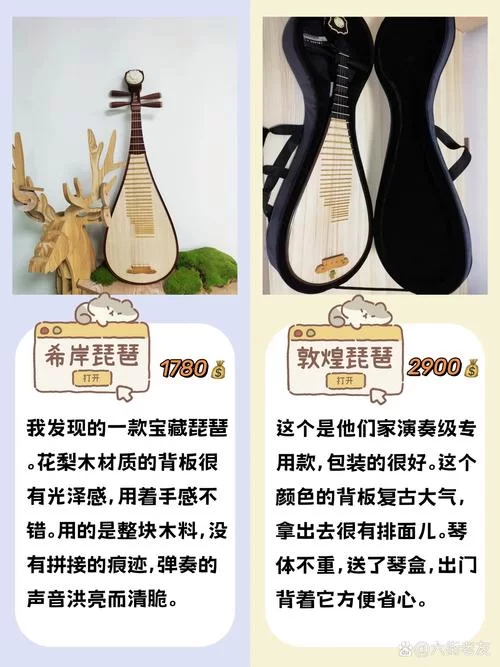 购买琵琶介绍：选购技巧及价格参考，新手必看！