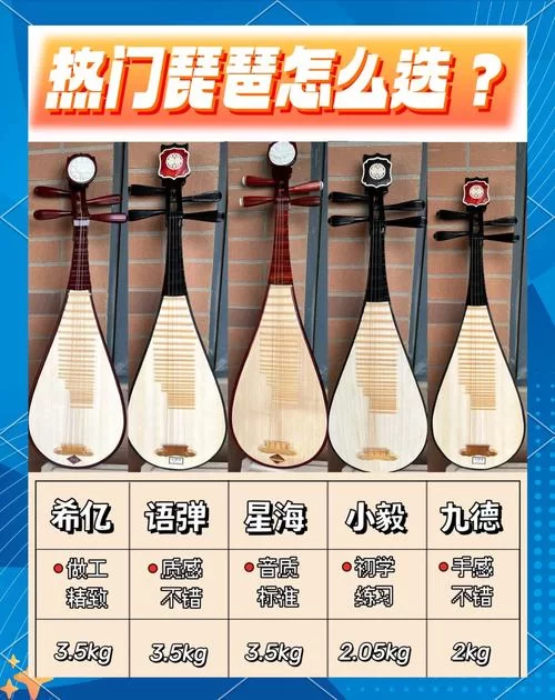 购买琵琶介绍：选购技巧及价格参考，新手必看！