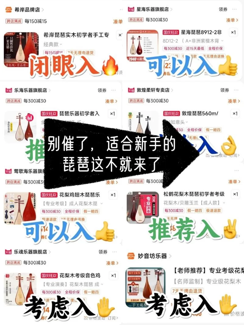 购买琵琶介绍：选购技巧及价格参考，新手必看！