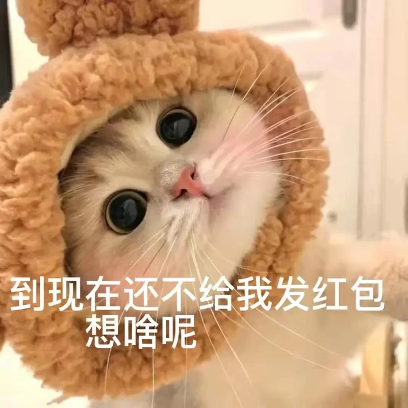 超全收红包表情包合集：各种类型表情包任你挑选！