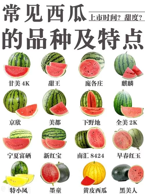 超全西瓜资源合集，各种类型应有尽有！