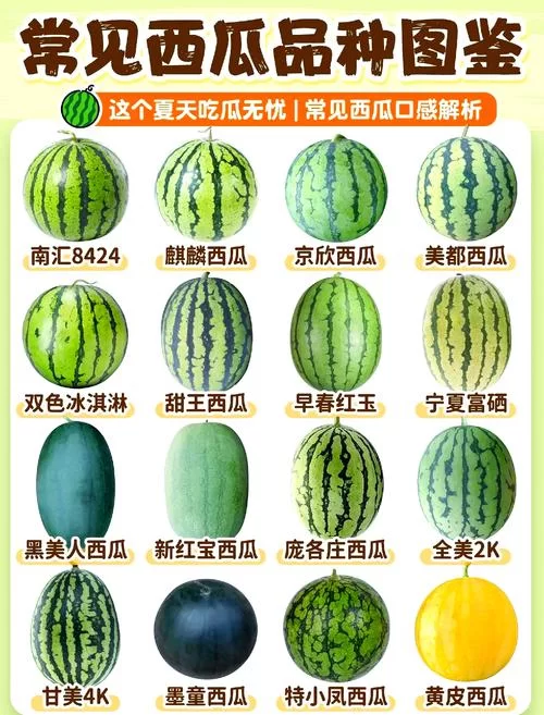 超全西瓜资源合集，各种类型应有尽有！