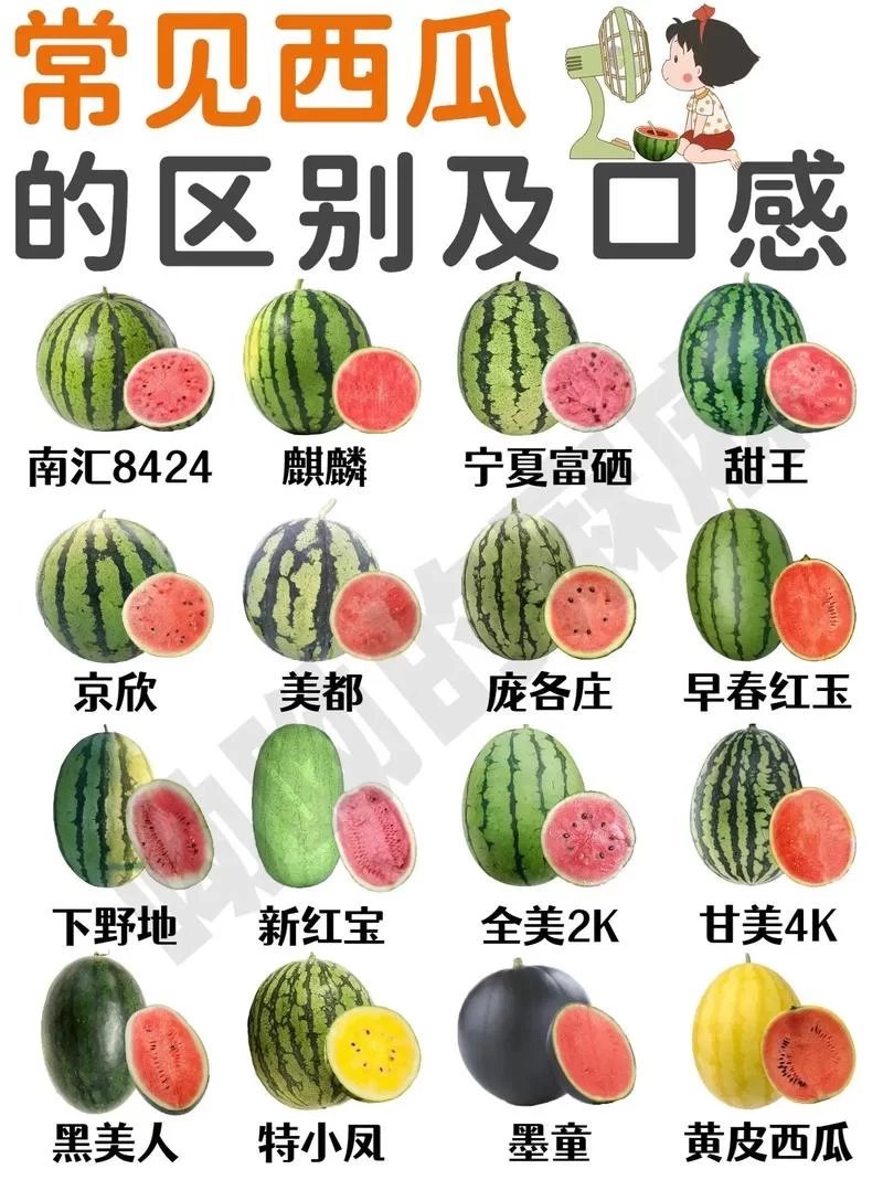 超全西瓜资源合集，各种类型应有尽有！