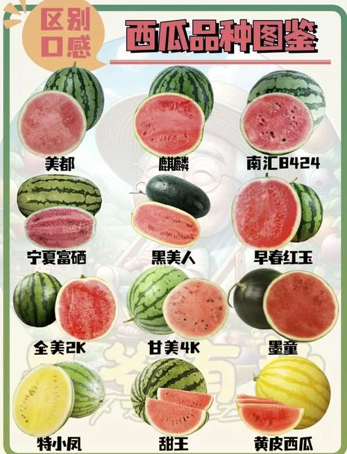 超全西瓜资源合集，各种类型应有尽有！