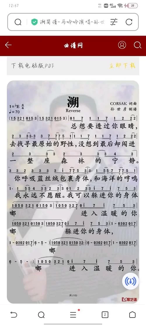 超清版溯数字钢琴谱，C调版简单易上手