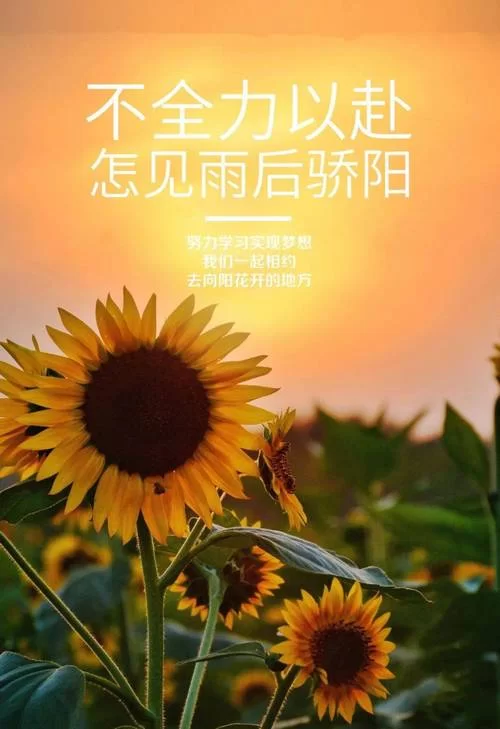 超火励志背景图来袭，让你每天都充满正能量！