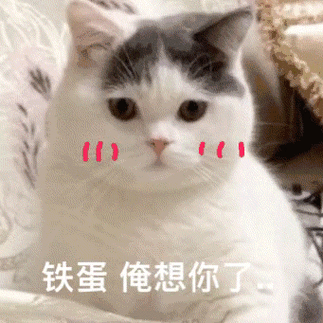 超火我有一点点想你表情包：快来收藏吧！