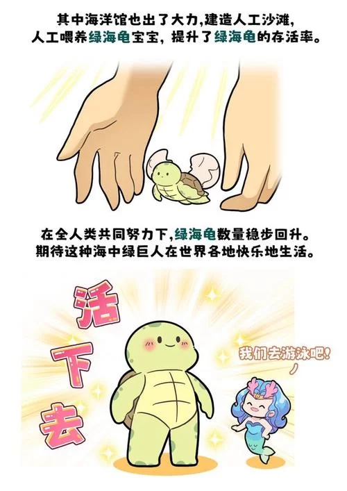 超萌圈圈海龟进化路线：从新手到龟仙人养成记