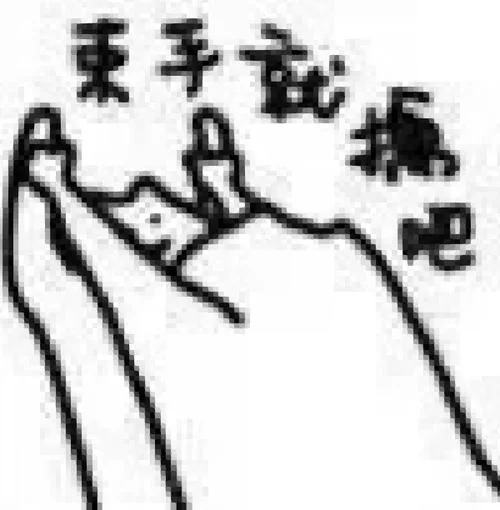 超萌查岗猫表情包免费下载，快来收藏吧