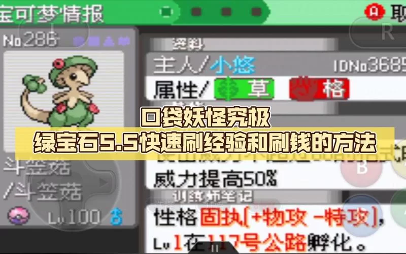 超详细口袋妖怪究极绿宝石5.3一周目图文攻略，助你成为大师！