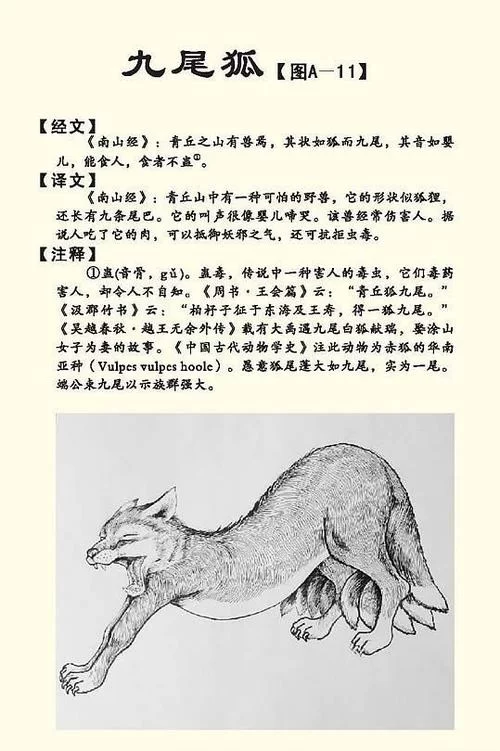 超酷炫的九尾狐特殊符号：简单易用的符号大全