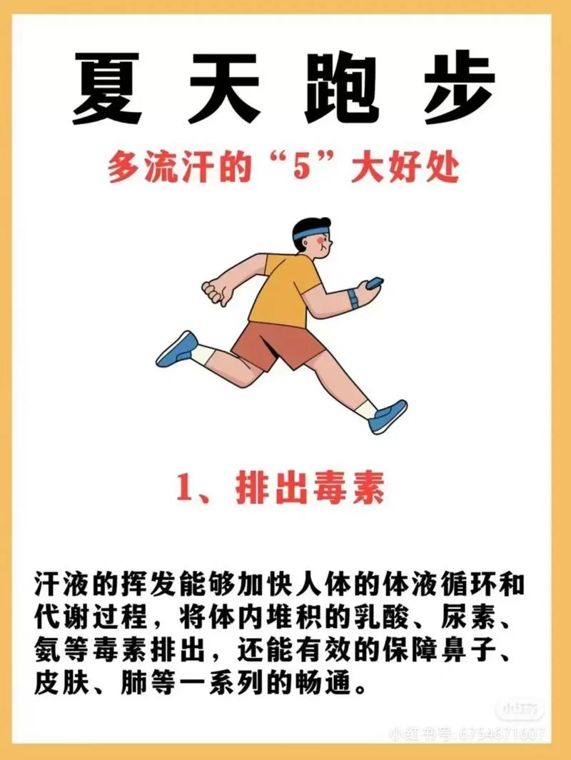 跑步好处坏处全解析：长跑对身体的影响及注意事项