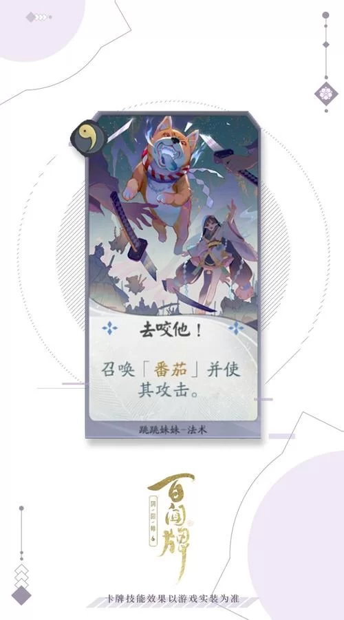 跳跳妹妹的宠物家族：品种大全及养护指南